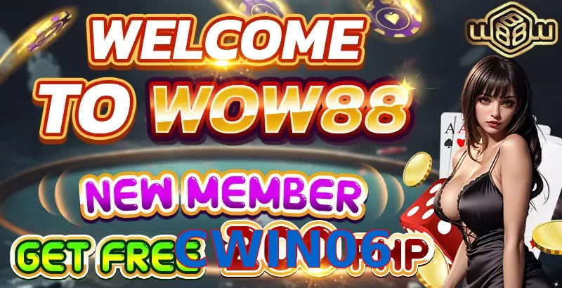 CWIN06