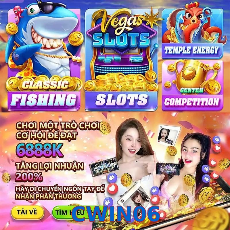 CWIN06