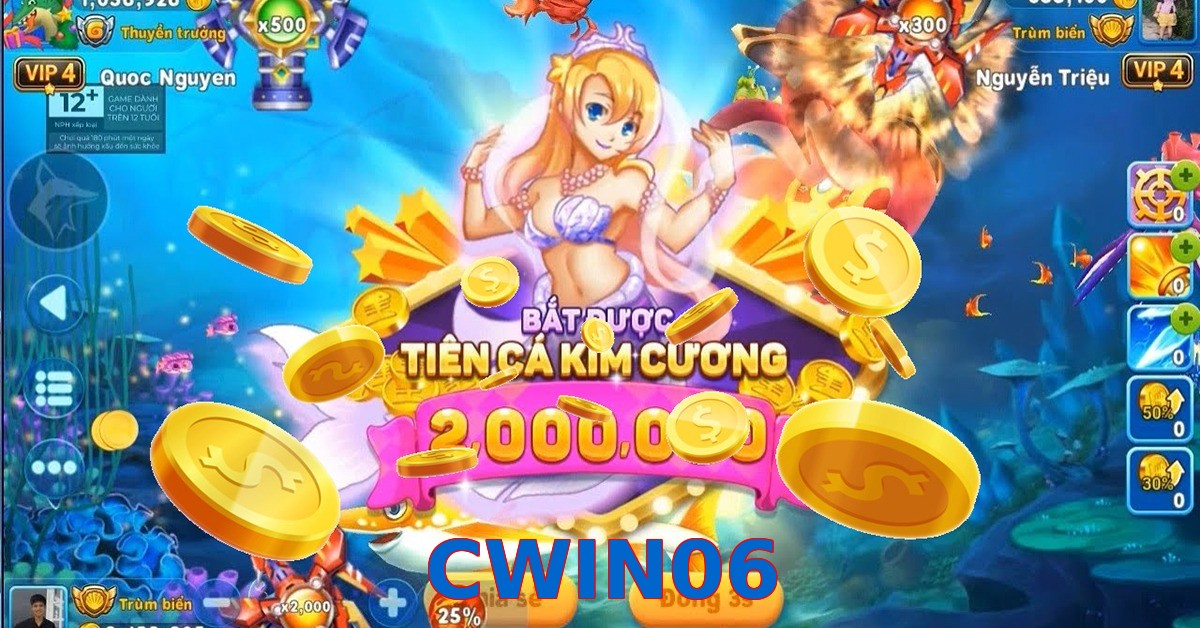 CWIN06