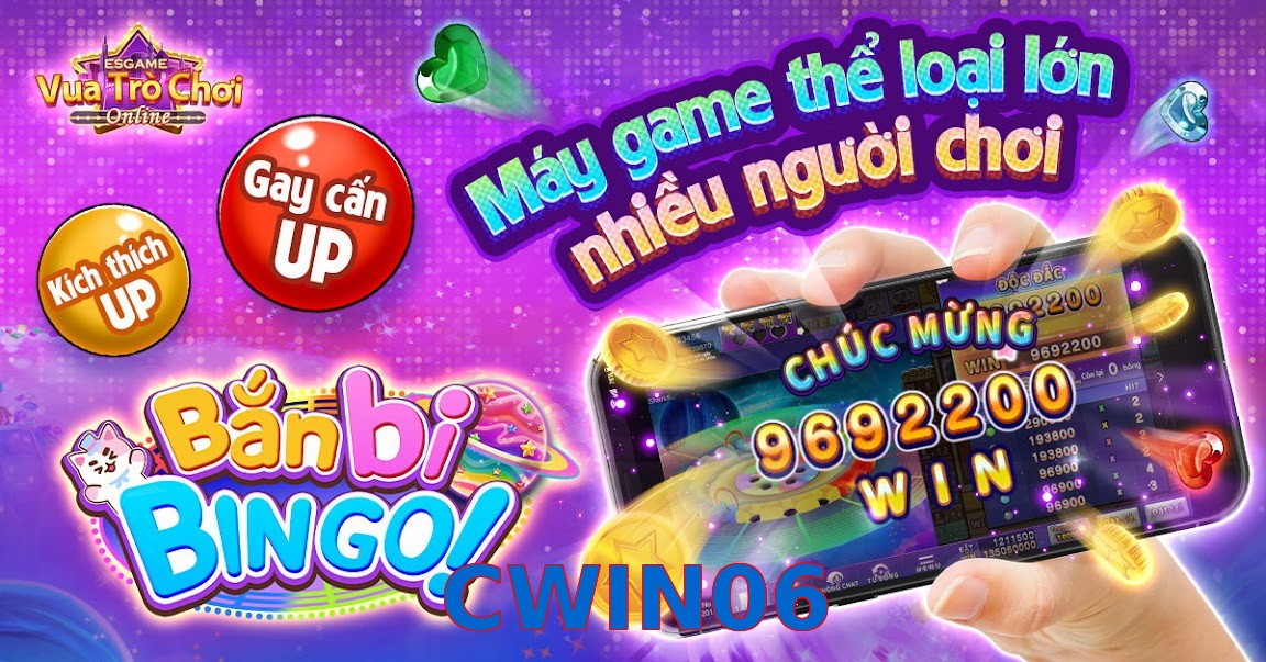 CWIN06