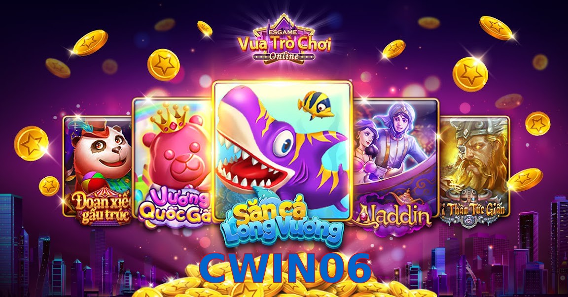 CWIN06