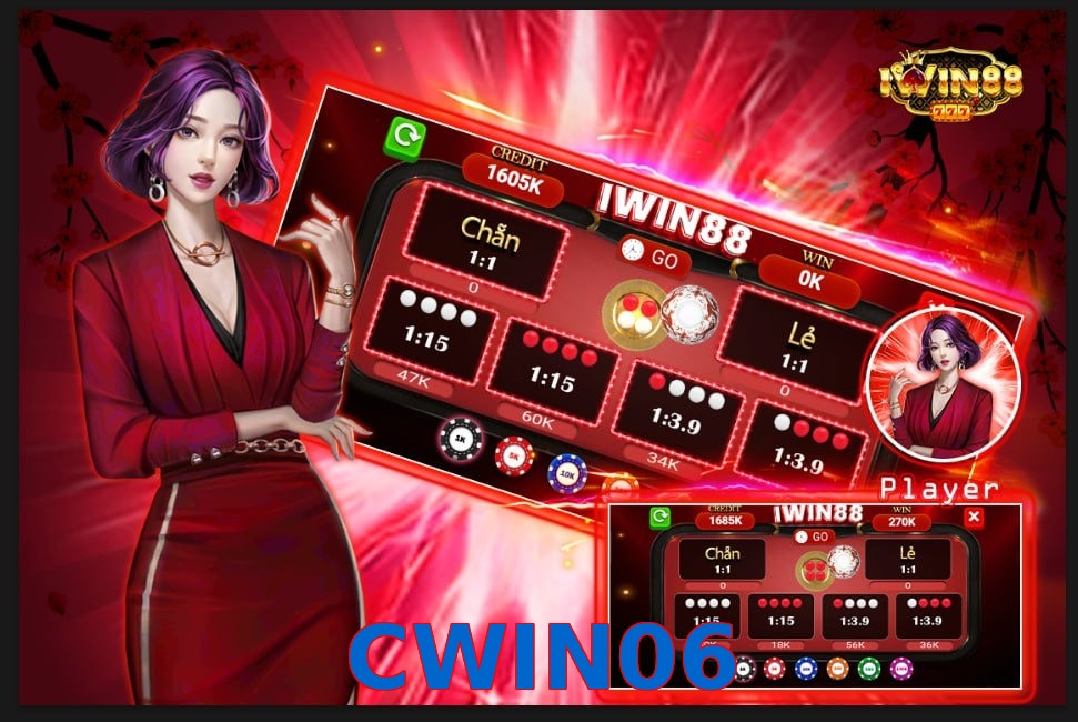 CWIN06