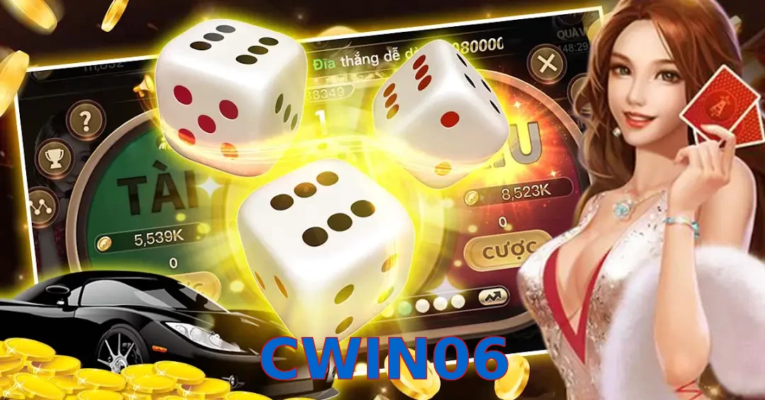 CWIN06