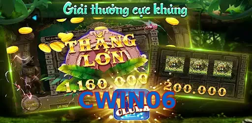 CWIN06