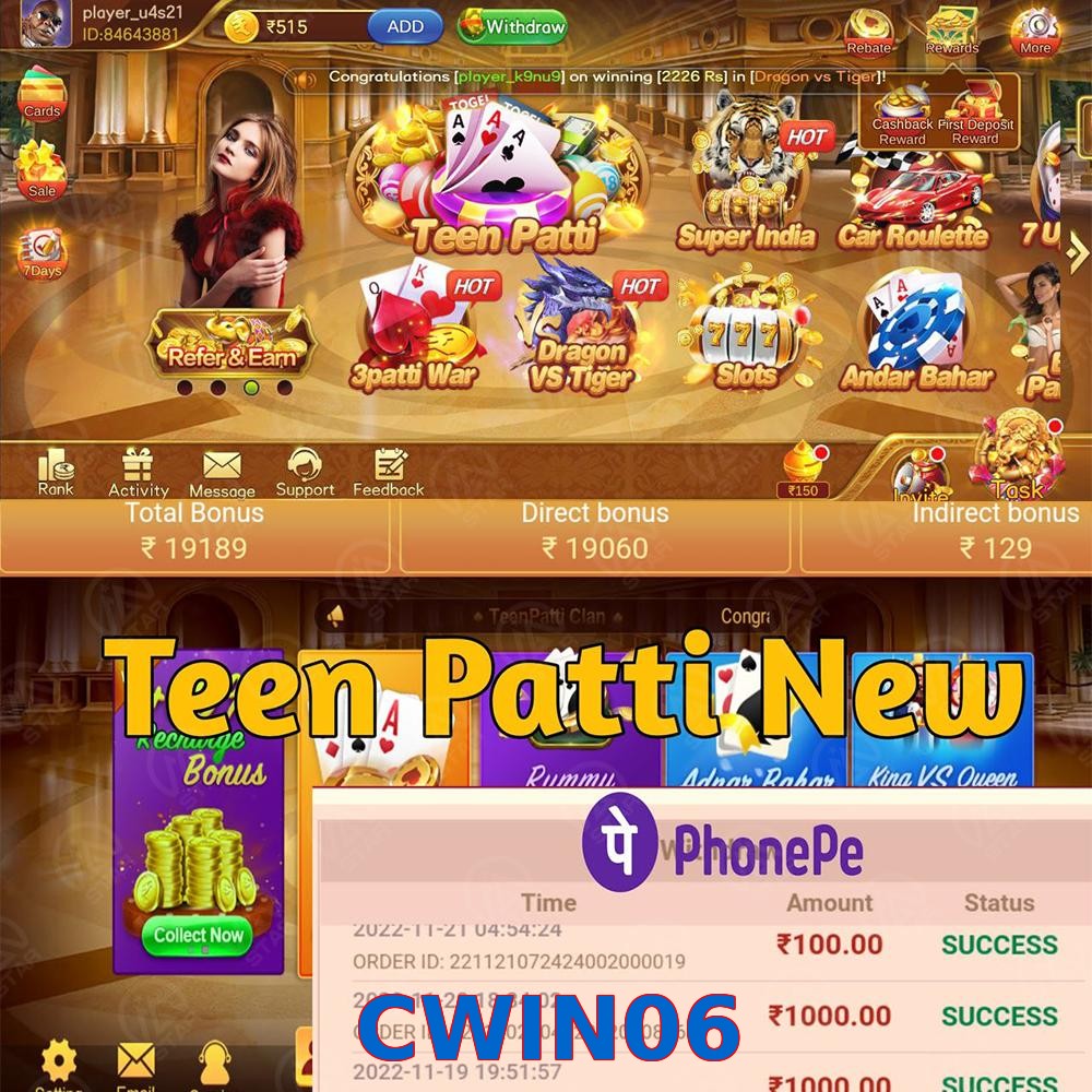 CWIN06